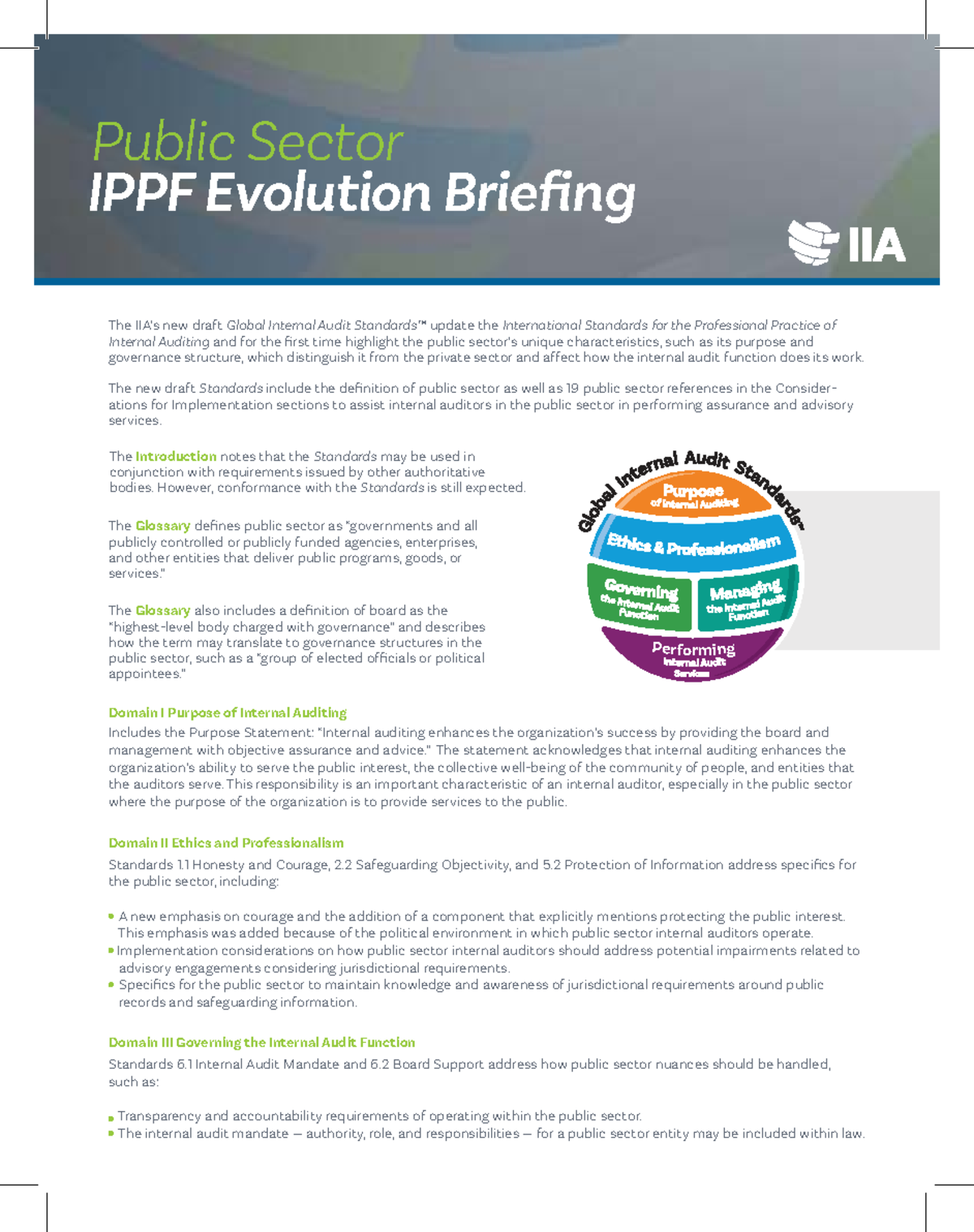 2023 6889 GUI IPPF Evolution in Public Sector Internal Auditing - Studocu