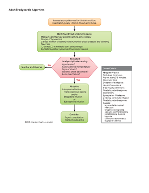 ACLS Algorithm for Cardiac Arrest in Pregnancy: In-Hospital Guidelines ...
