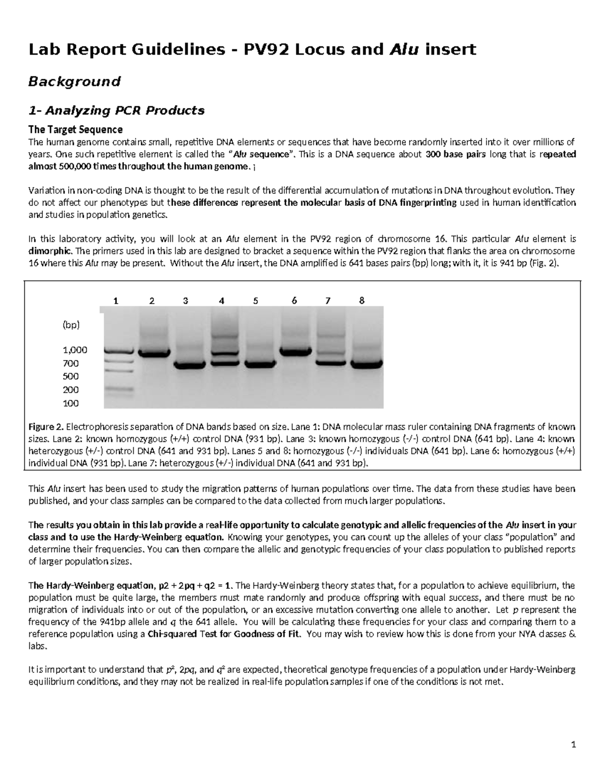 Lab Report Guidelines: Analyzing Alu Insert in PV92 Locus (Lab A2024 ...