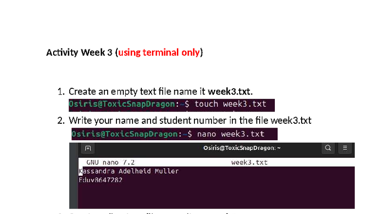 Activity Week 3 - Terminal File and Directory Permissions - Studocu