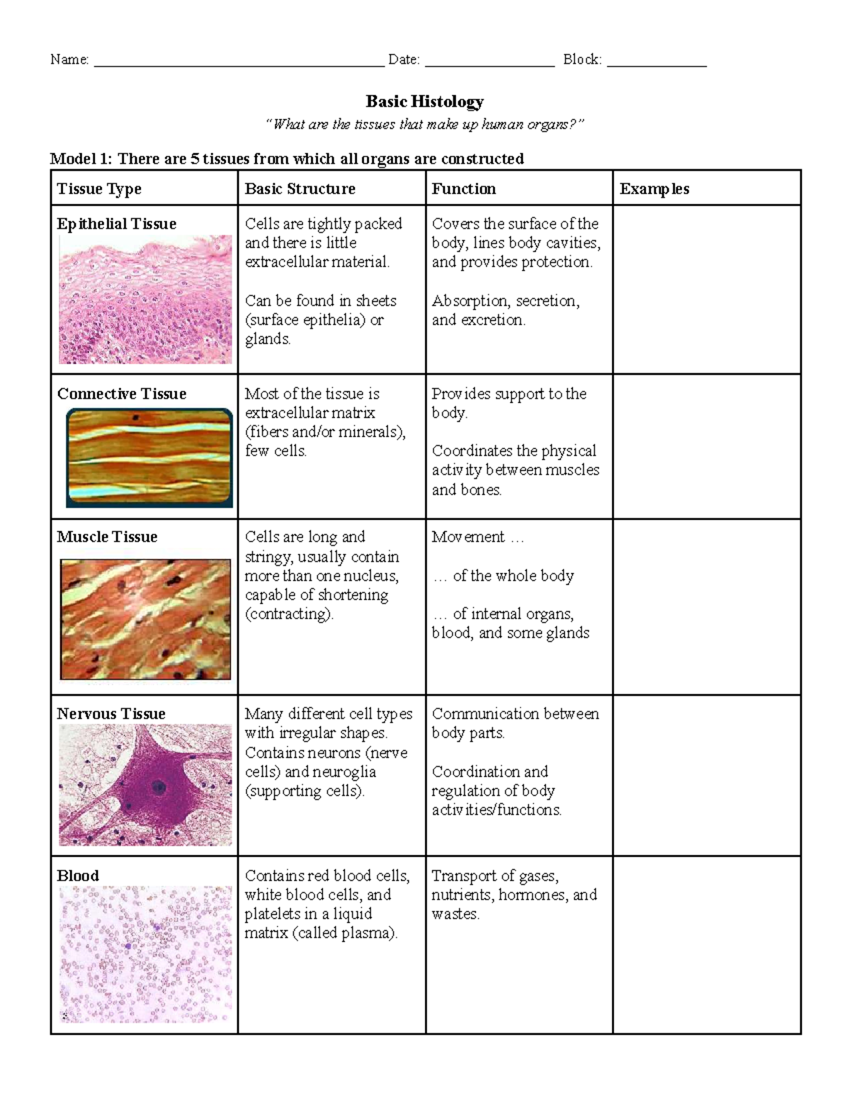 Basic Histology Overview - FSFA - Studocu