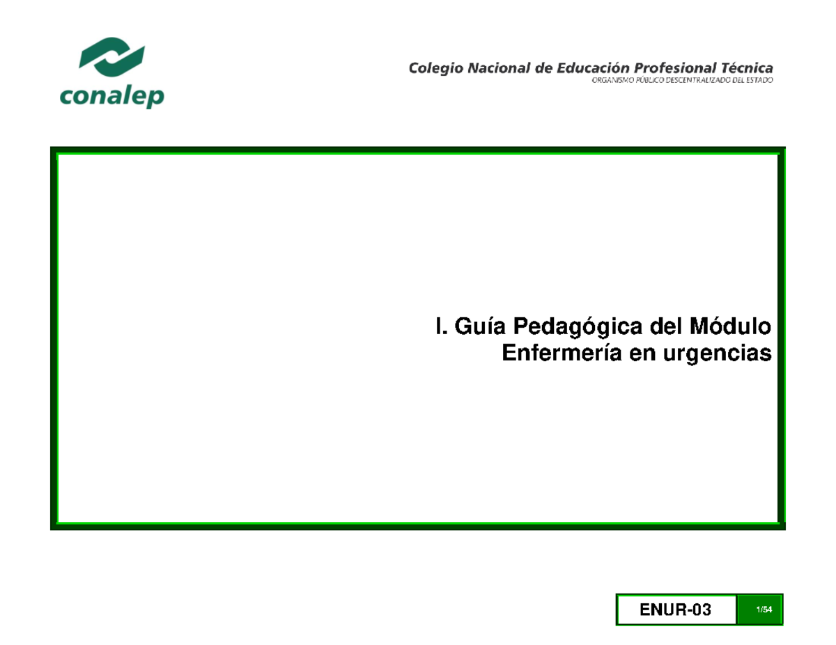 Guia Pedagogica De Enfermeria En Urgencias Conalep