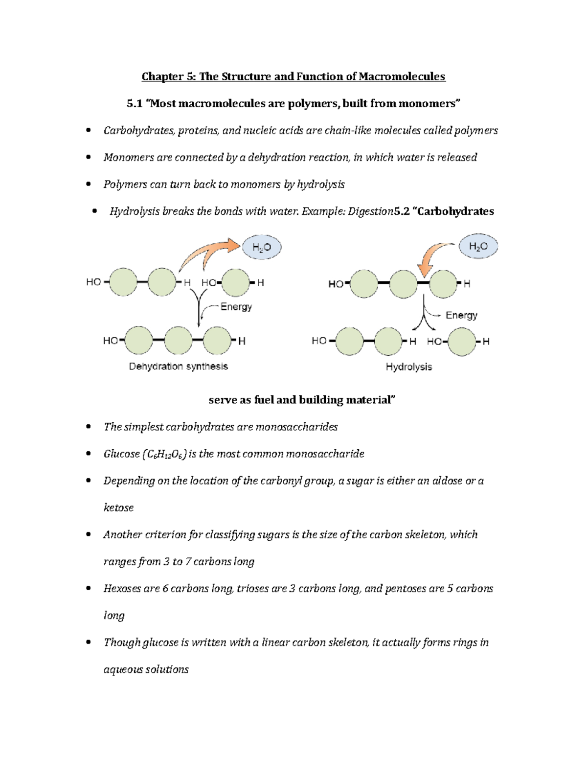 Chapter 5 Summary: Structure & Function of Macromolecules in Campbell ...