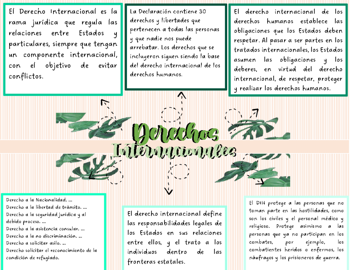 Derecho s Internacionales - El derecho internacional de los derechos ...