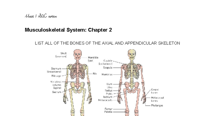 Unit 1 SAC Notes: Musculoskeletal & Cardiovascular Systems Overview ...