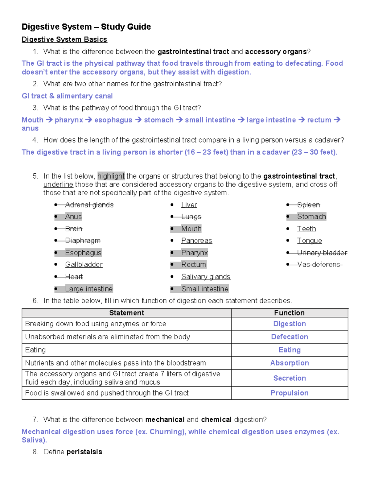Digestive System Study Guide (Course Code: ghjk) - Studocu