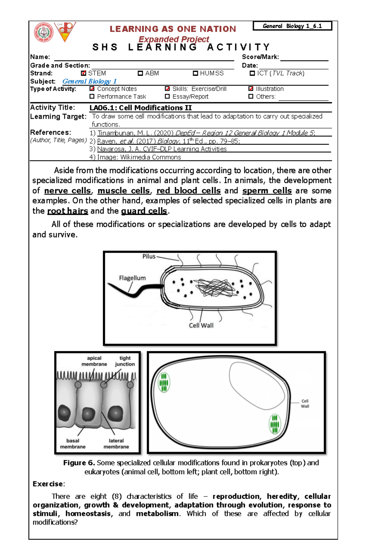 Gen Biology 1 LAS 6.1 Cell Modifications II - LEARNING AS ONE NATION ...
