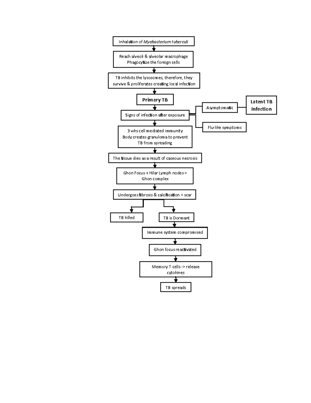 TB Pathophysiology: Understanding Mycobacterium Tuberculosis Mechanisms ...