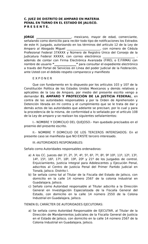 Amparo indirecto penal: demanda de protección de la justicia federal ...
