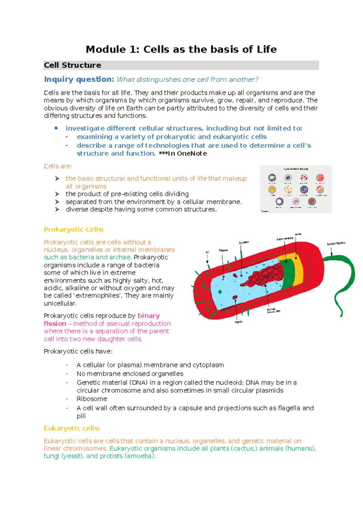 Cell Biology Overview: Module 1 - Understanding Cell Structures and ...