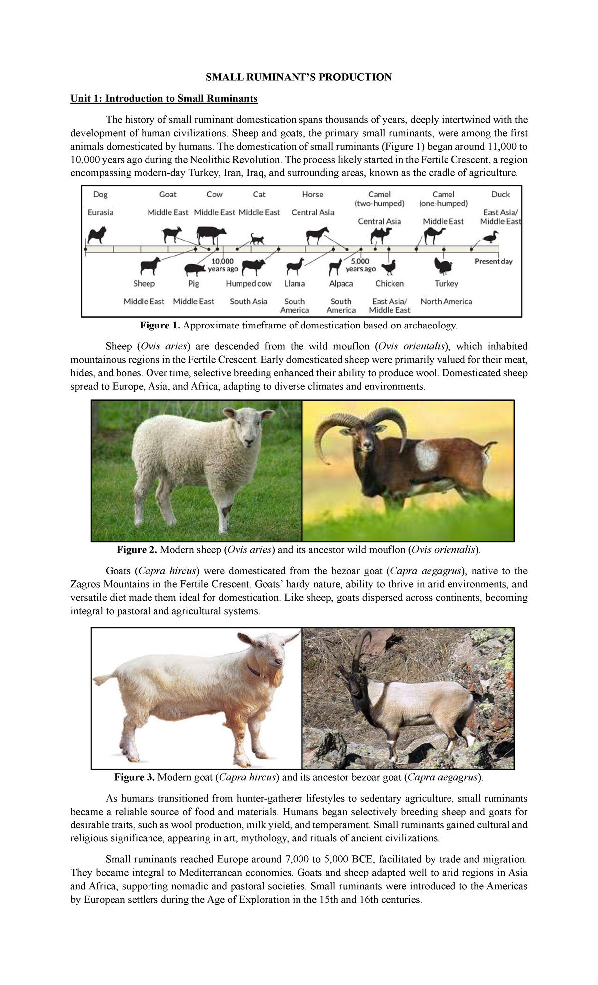 SMALL PRODUCTION: Unit 1 - Intro to Small Ruminants and Their Impact ...