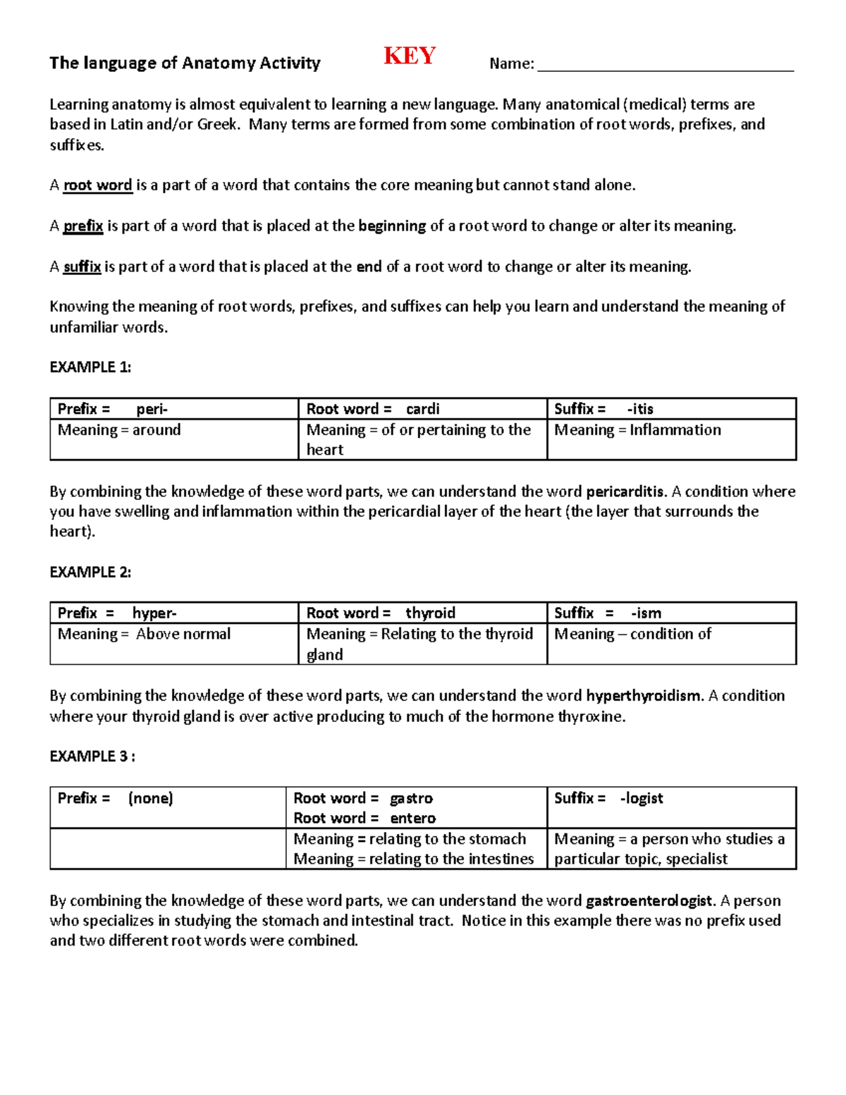 The language of Anatomy Activity Chart - KEY - The language of Anatomy ...