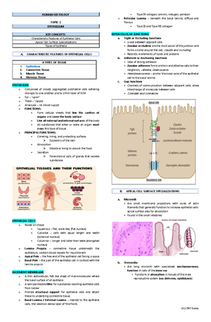 Histology Study Notes - Human Cell Structure & Connective Tissue - Studocu