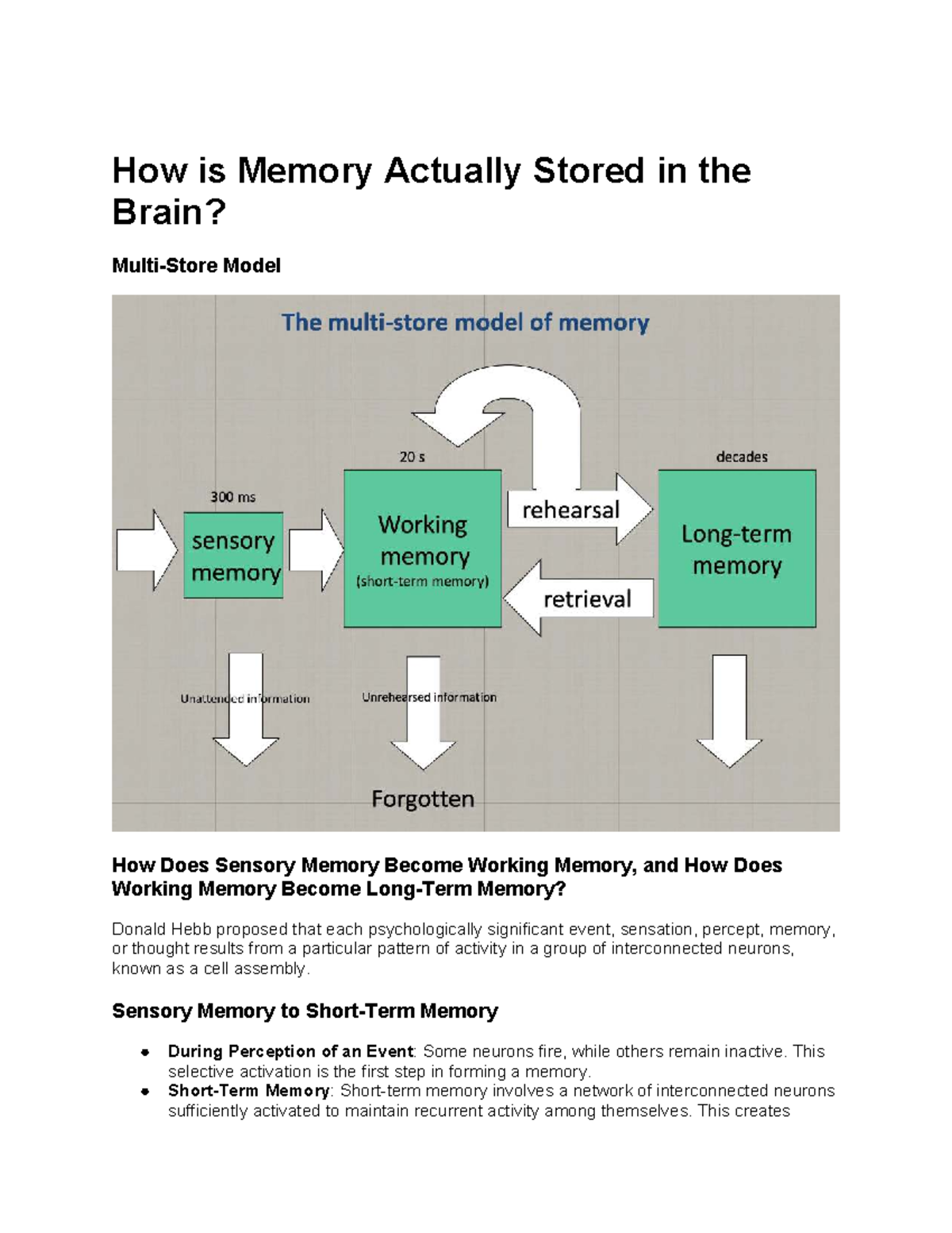 PSYC211 L5 - Memory Storage and Hebbian Learning Insights - Studocu