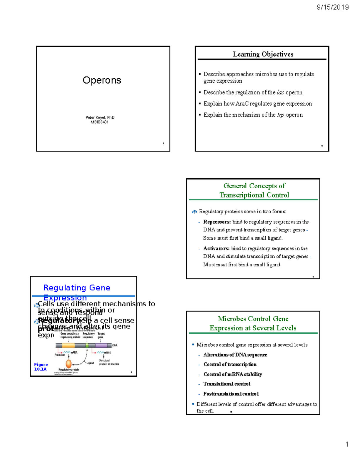 Regulation of Gene Expression: The Lac Operon and Beyond (MBIO3401 ...