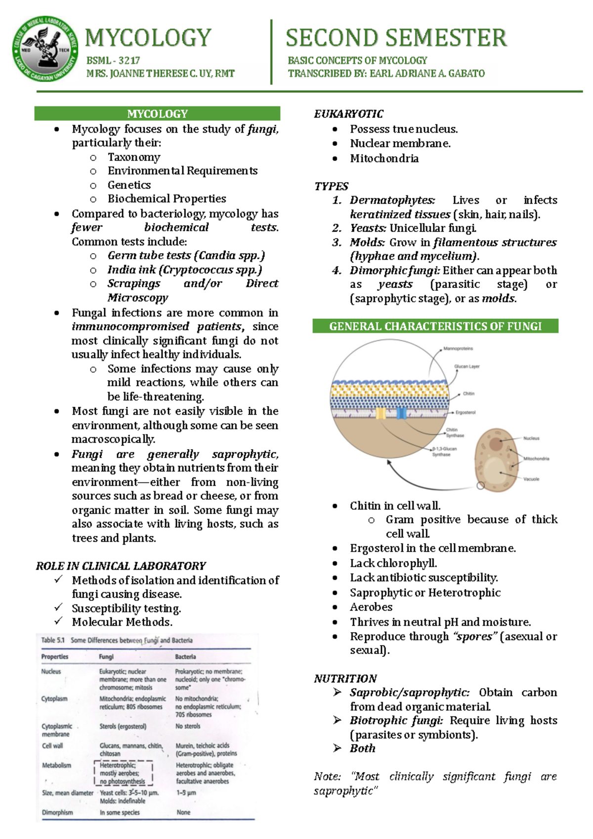 Basic Concepts of Mycology: BSML 3217 Prelim Notes - Studocu