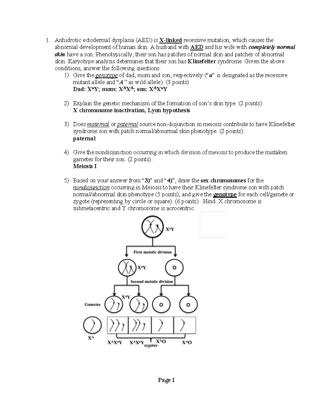 Practice exam 3 F24 Key - Anhidrotic ectodermal dysplasia (AED) is X ...
