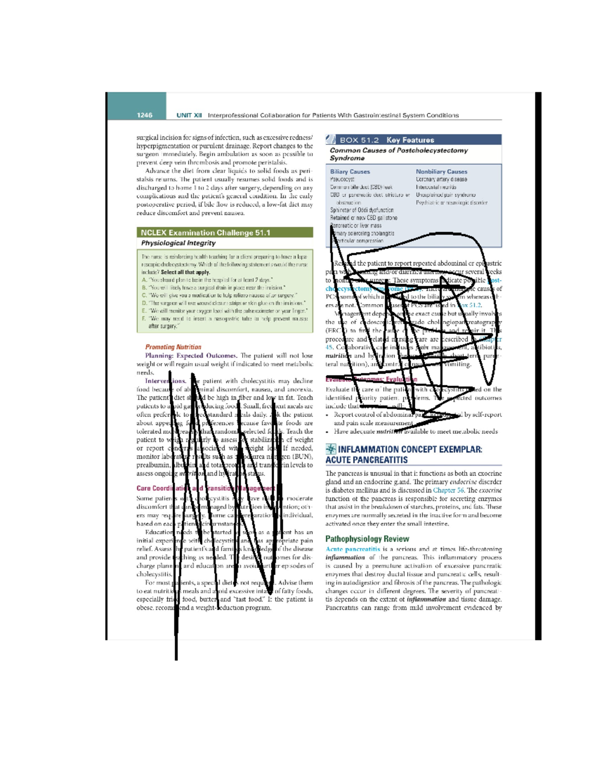 Final Exam Review Notes for Course Code XYZ101: Interprofessional ...
