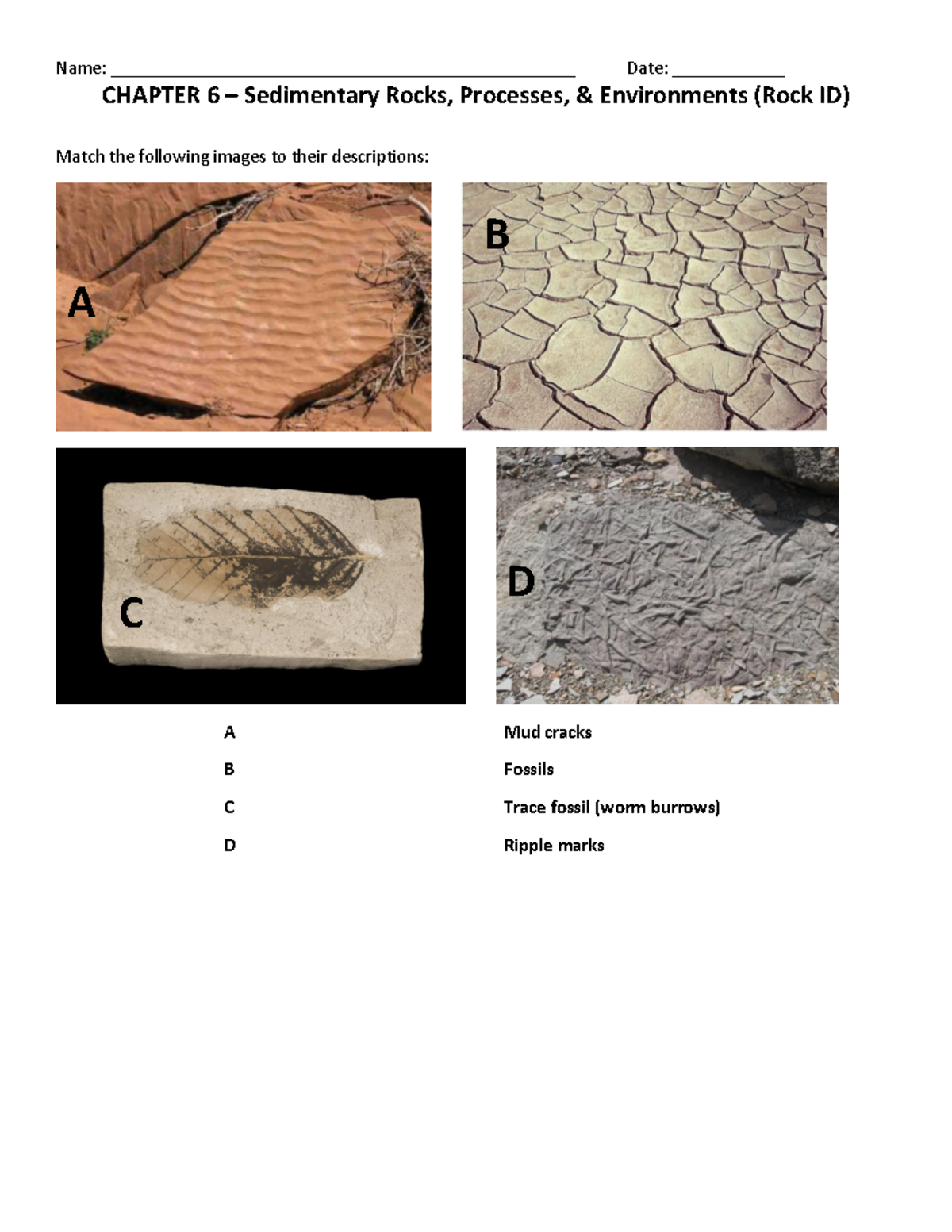 Ch6 - Sedimentary Rocks: Processes, Environments & Transport Agents ...