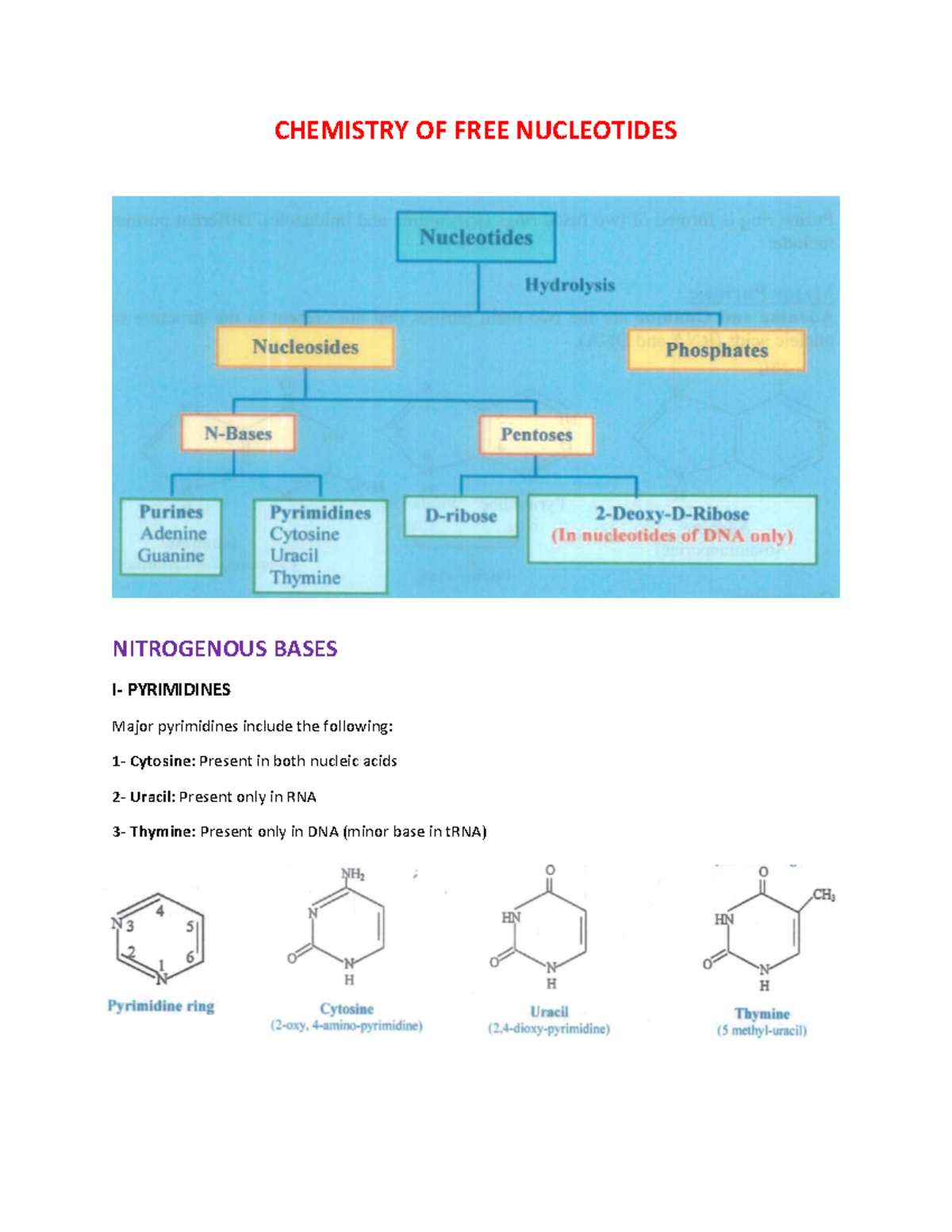 Myoglobin - MYOGLOBIN Function and Structure of Myoglobin