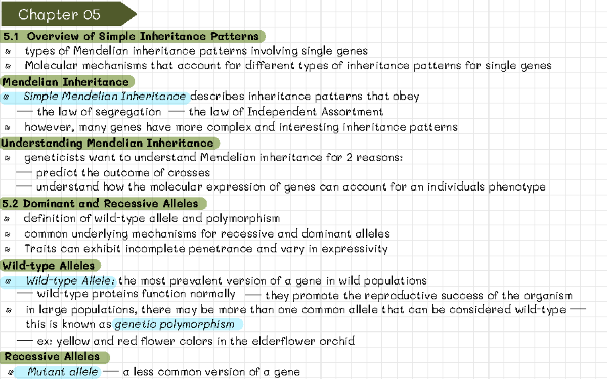Genetics chapter 5 - Chapter 05 5 Overview of Simple Inheritance ...