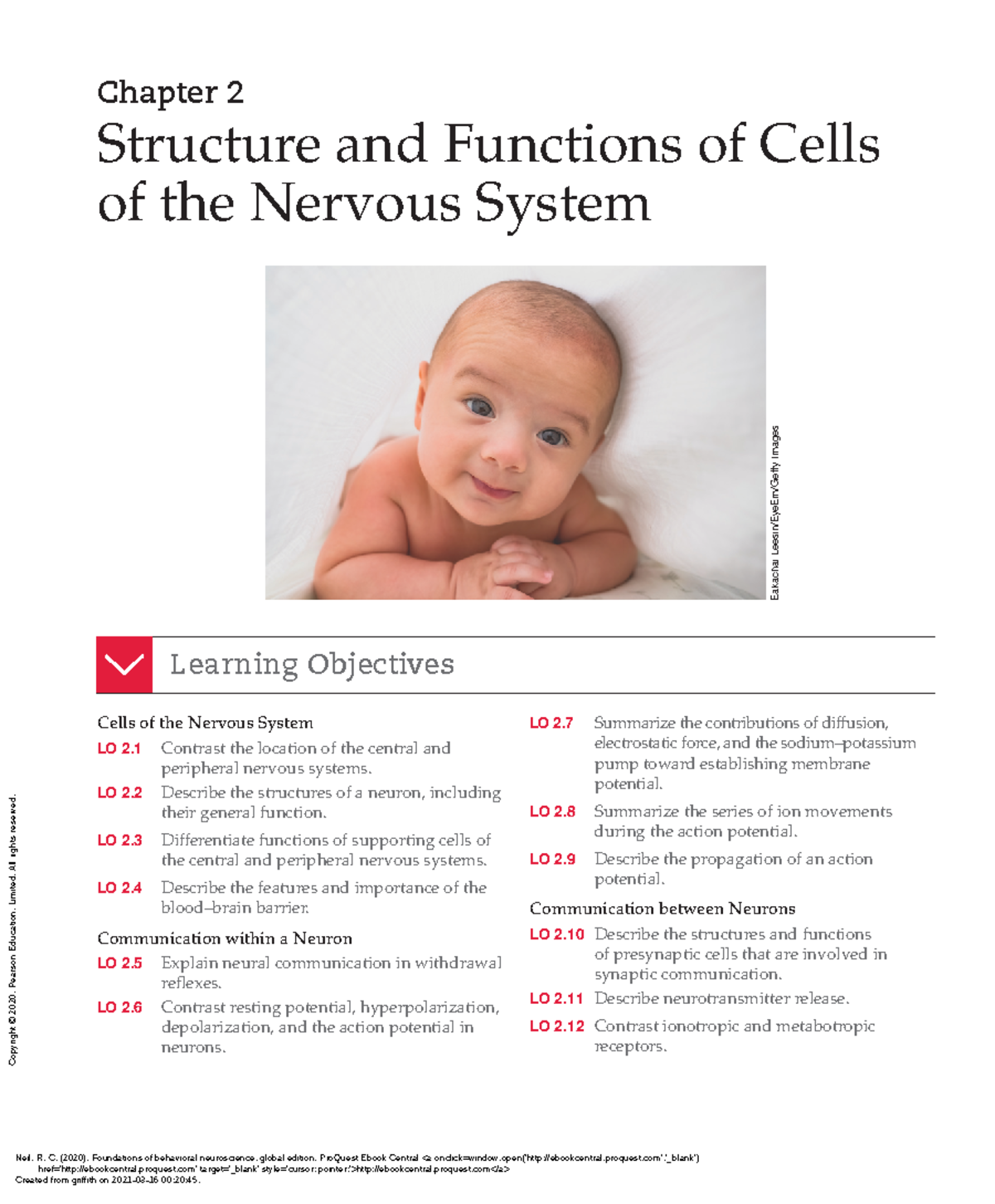 Chapter 2: Structure and Functions of Nervous System Cells (Biol 304 ...