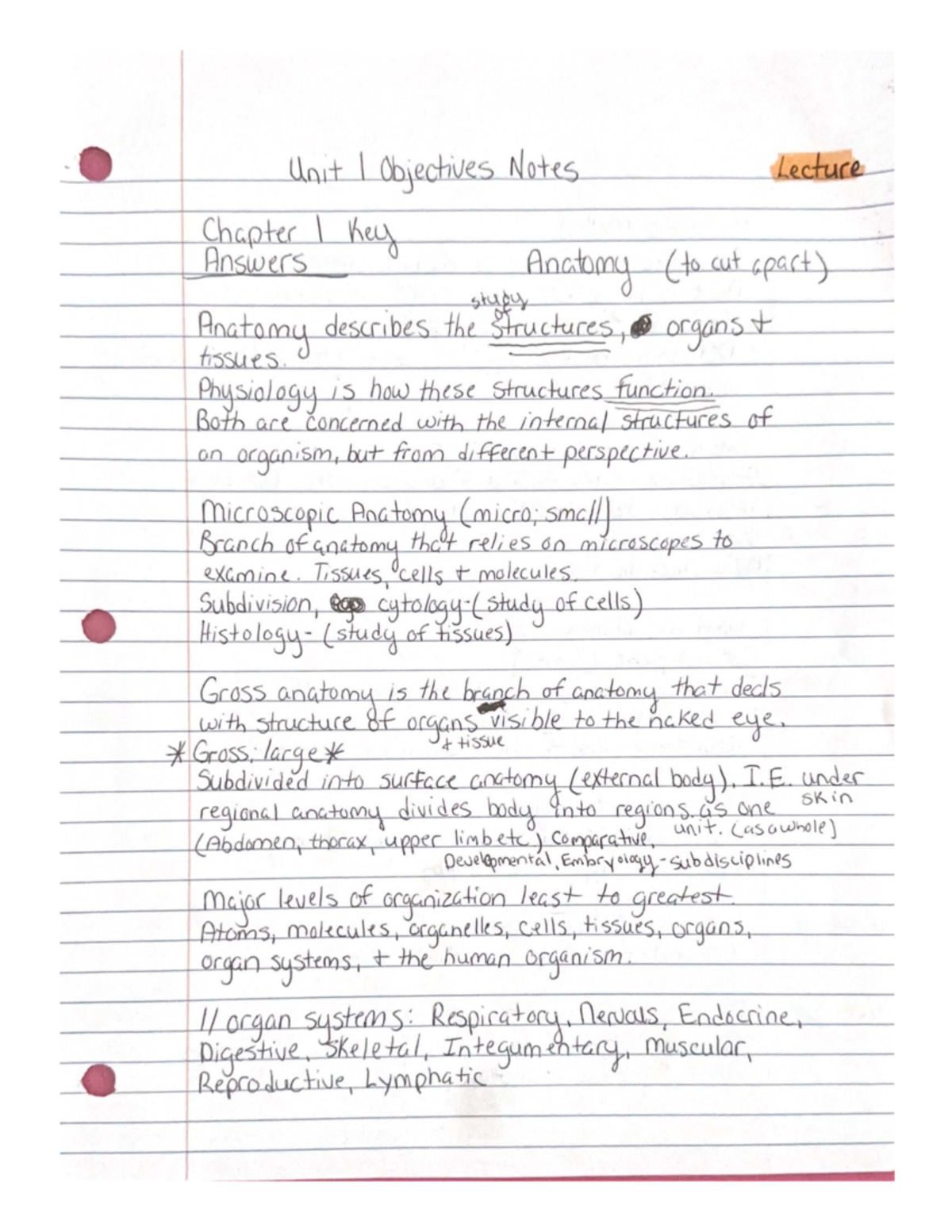 Anatomy 101: Unit I Lecture Notes & Key Objectives for Chapter 1 - Studocu