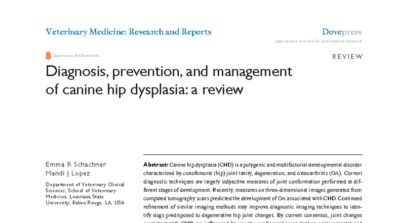 Diagnosis, Prevention, and Management of Canine Hip Dysplasia (VMRR ...