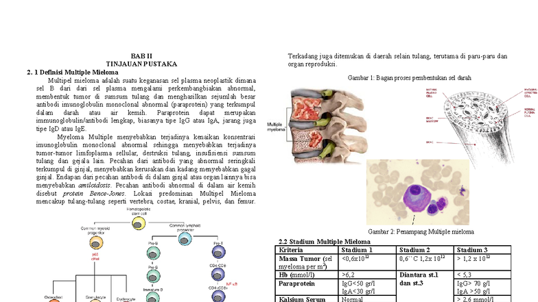 Contoh Askep Multipel Myeloma: Tinjauan Pustaka dan Penatalaksanaan ...