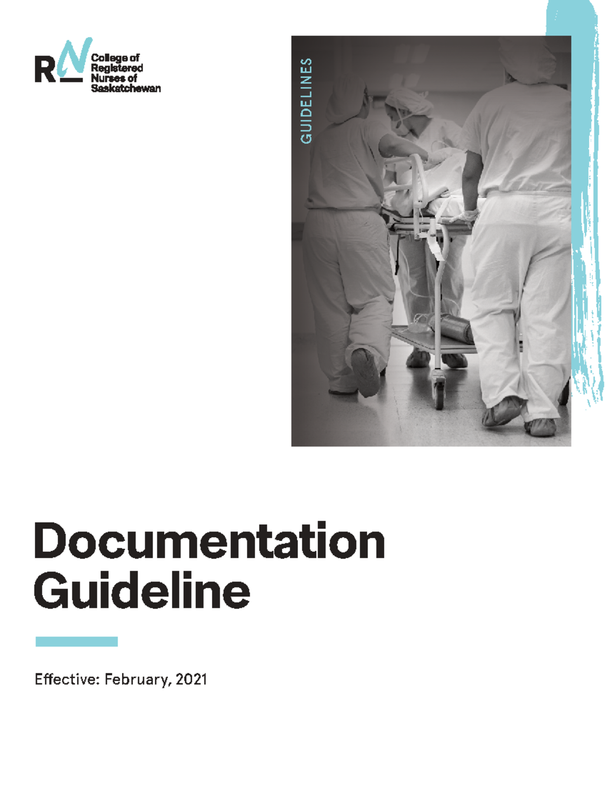Documentation Guidelines for Registered Nurses (RN) - CRNS Standards ...