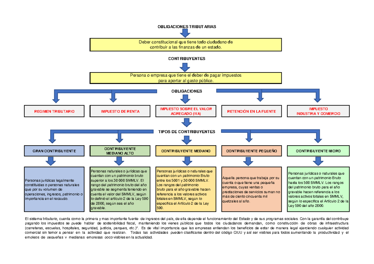 Mapa Conceptual: Tipos de Contribuyentes y Sus Obligaciones Fiscales ...
