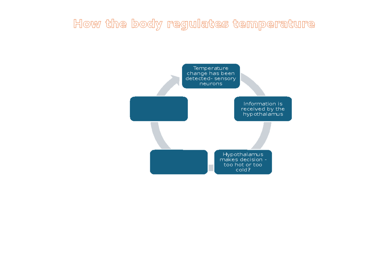 Temp Regulation Flow Chart - Temperature change has been detected ...