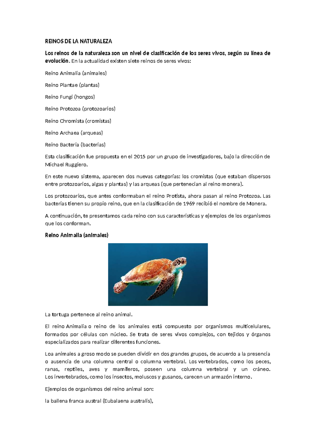 Reinos de la Naturaleza: Clasificación y Características de los Seres Vivos  - Studocu