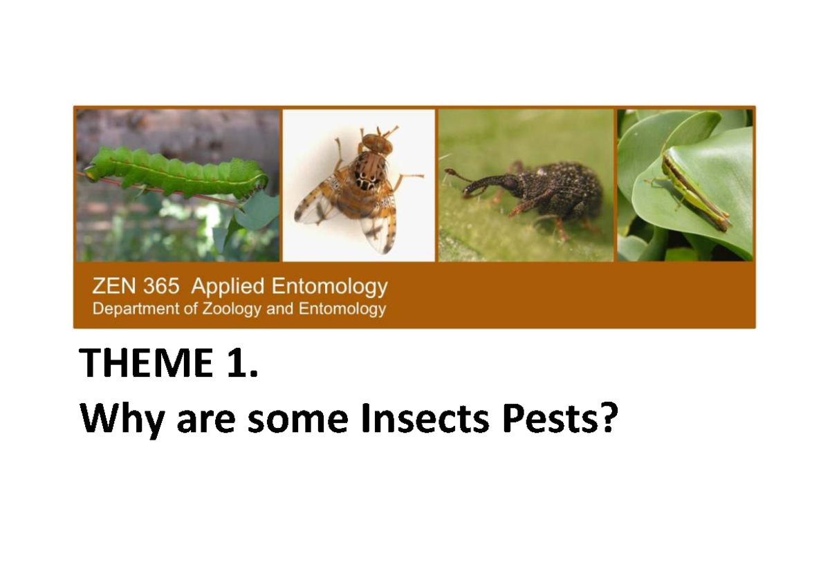 ZEN 365 Lecture 1: Understanding Insect Pests and Their Impact - Studocu
