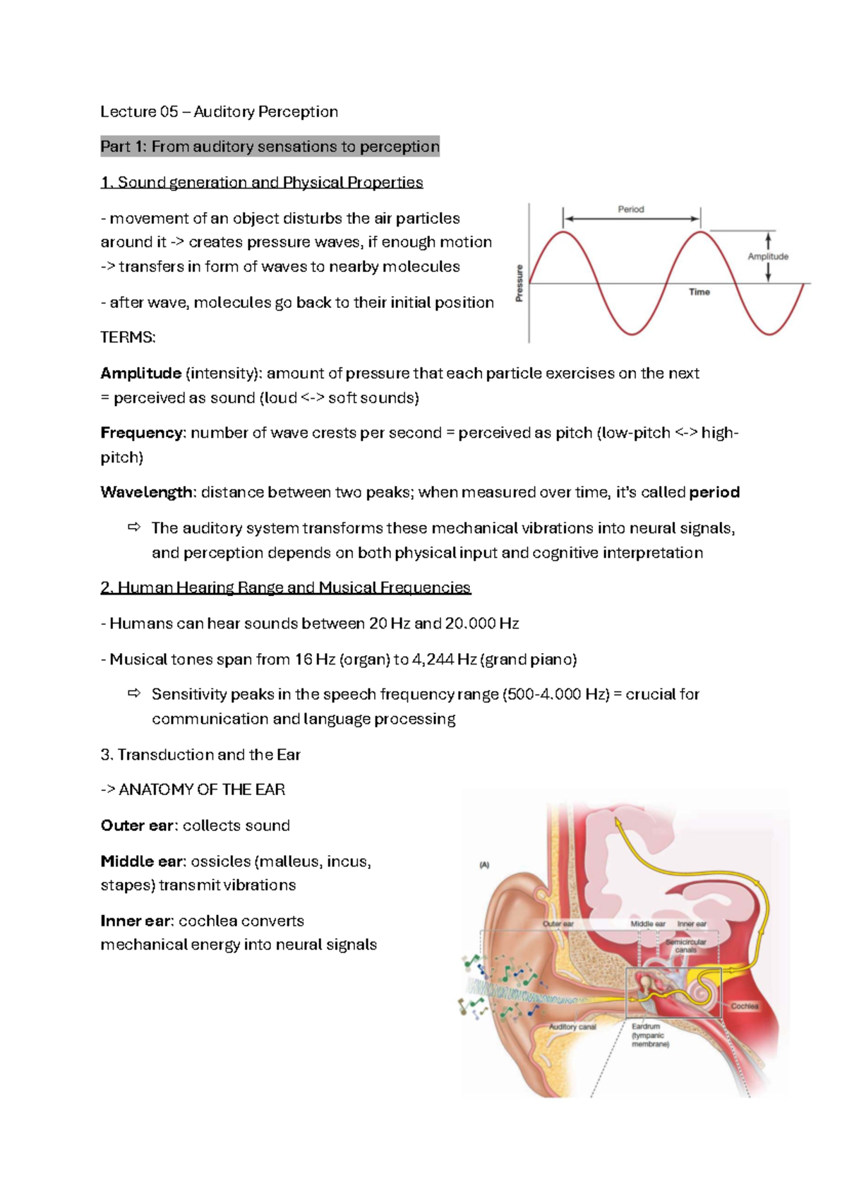 Allg Psy Lecture 05: Auditory Perception - Sound and Hearing Mechanics ...