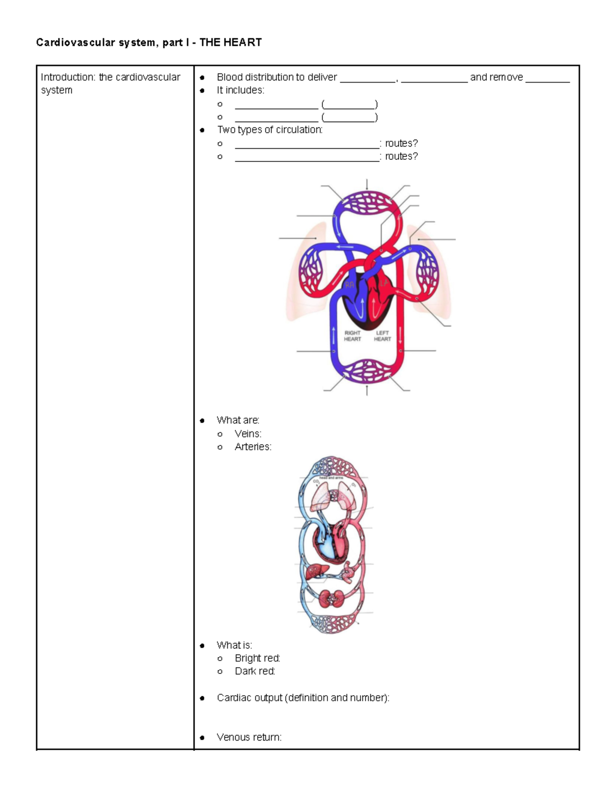 Cardiovascular (CV) Lecture 1: The Heart Overview & Key Concepts - Studocu