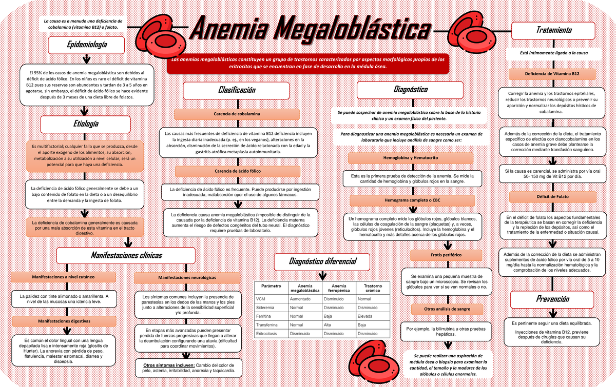 Anemia Megaloblástica: Etiología, Diagnóstico y Tratamiento - Document Preview