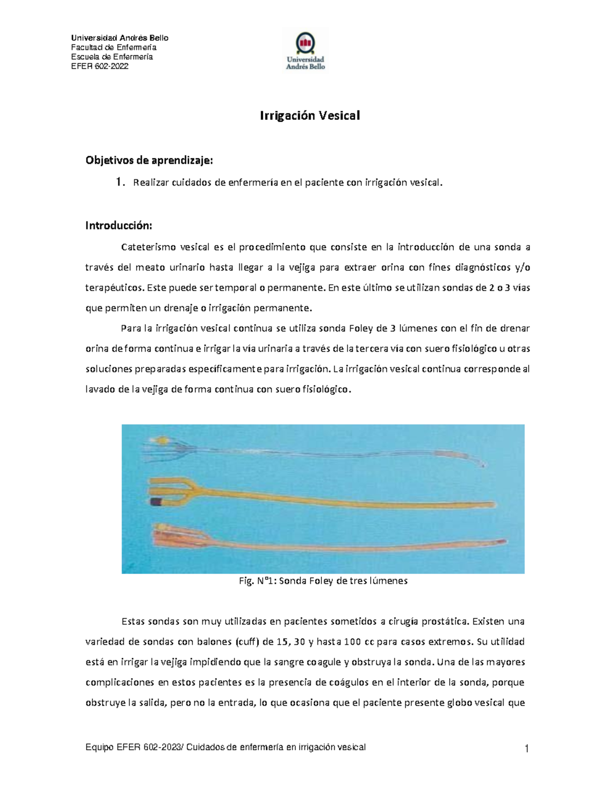 Guía de Irrigación Vesical en Pacientes - EFER 602 - 2022 - Studocu