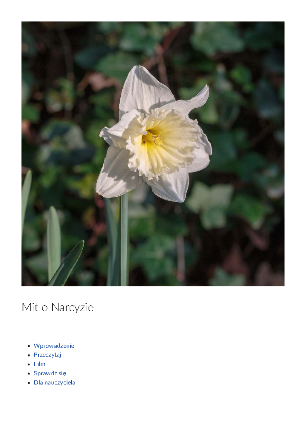 Mit o Narcyzie - Analiza i Interpretacja Mitu w Literaturze - Studocu