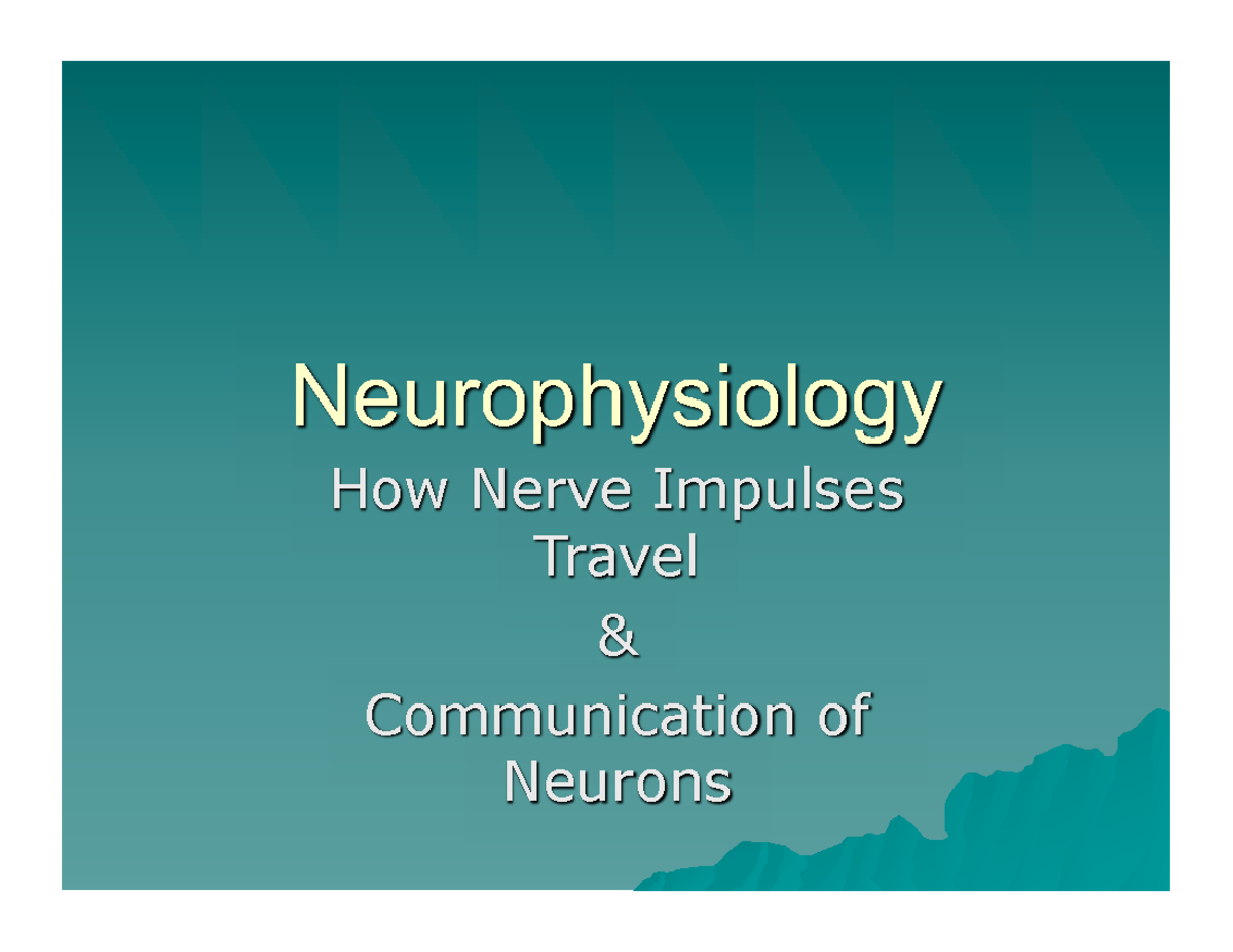 Neurophysiology: Nerve Impulses & Neuron Communication Insights - Studocu