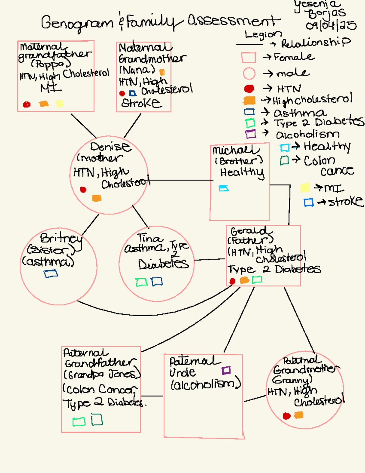 Genogram Analysis: Family Health Assessment (HTM) - Studeersnel