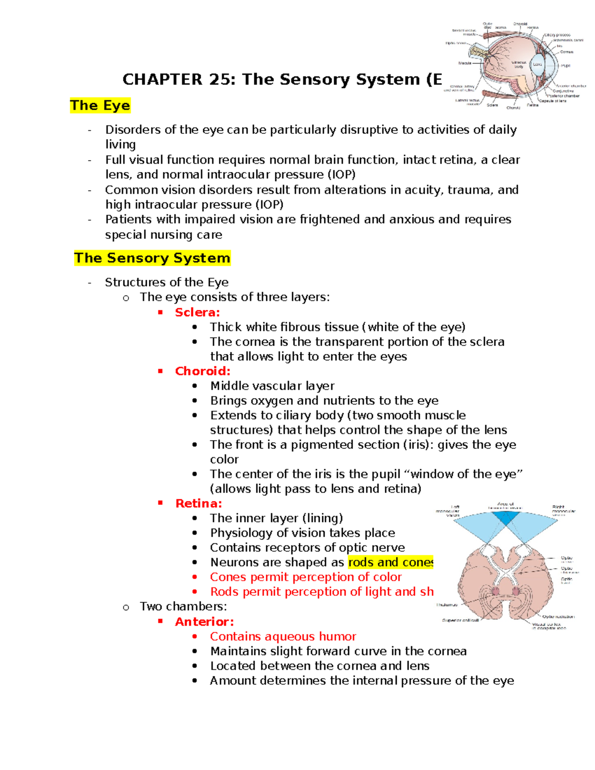 Chapter 25 Notes - The Sensory System: Eye Disorders & Care - Studocu