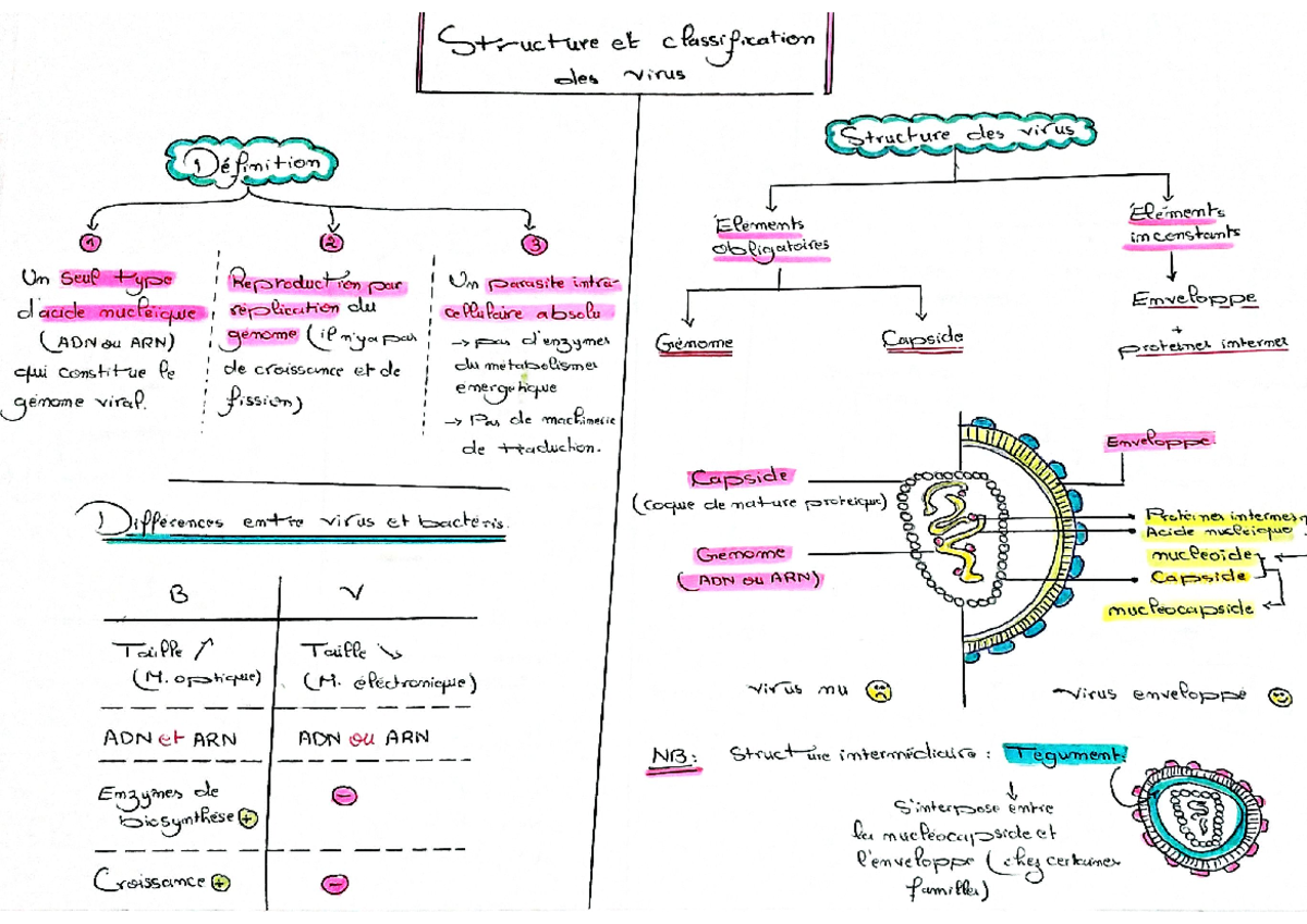 Structure et Classification des Virus - Cours de Virologie Générale ...