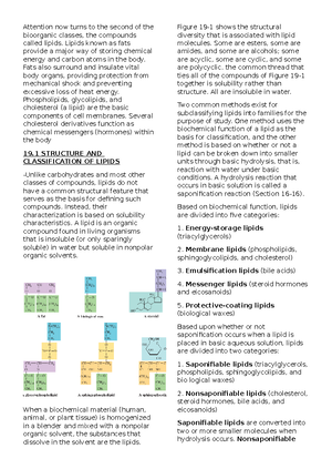 Sem2 unit1 review key side 2 - Intermolecular Forces Worksheet 2. List ...