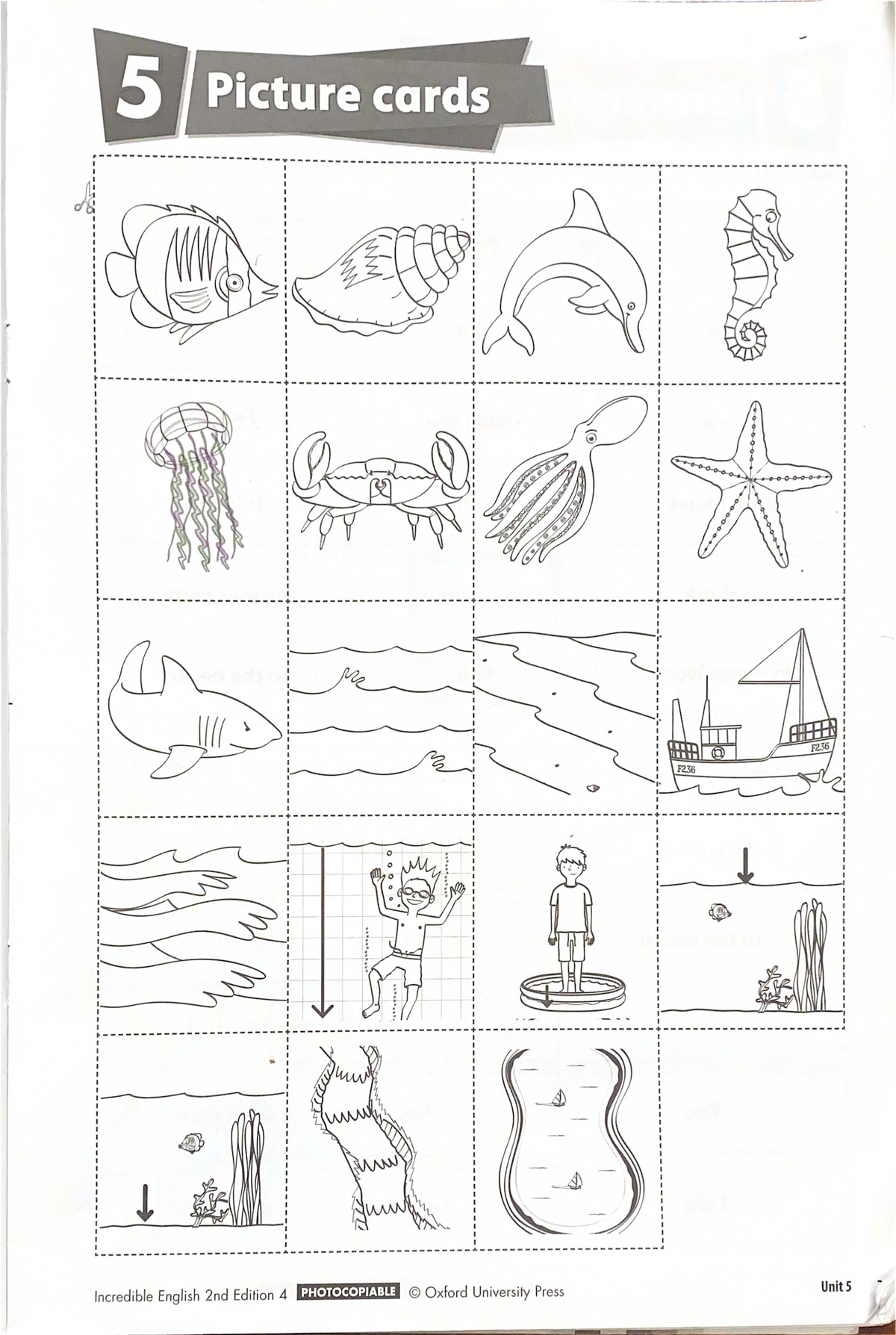 Incredible English 2nd Edition - Unit 5 Notes (Cuarto de Primaria ...