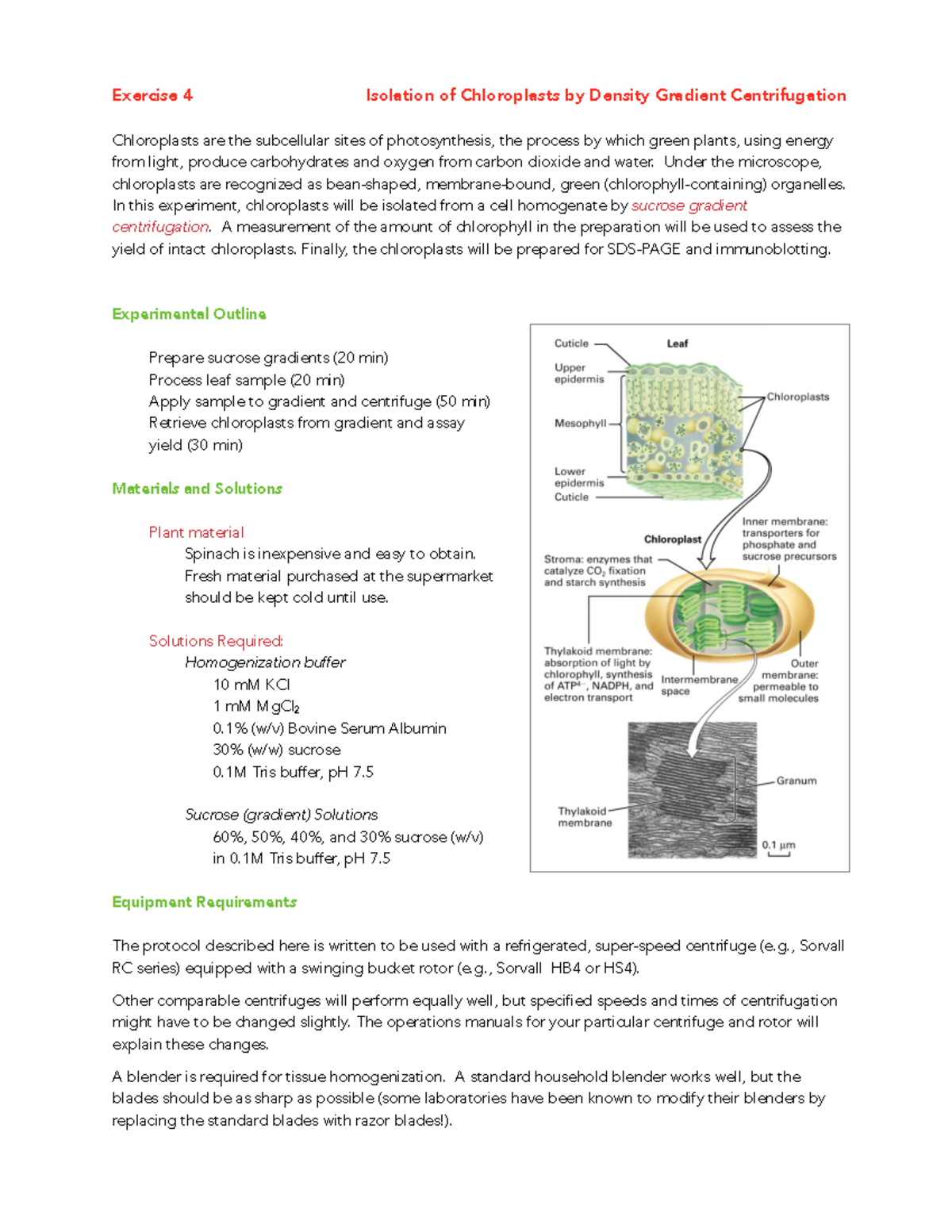 Lab 4: Chloroplast Isolation via Sucrose Density Gradient - Studocu