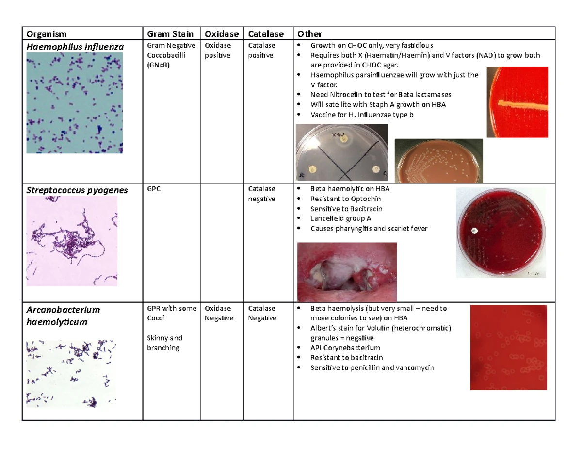 WEEK sem 2 - STUDY GUIDE and assessments - WEEK LECTURE TUT/LAB ...
