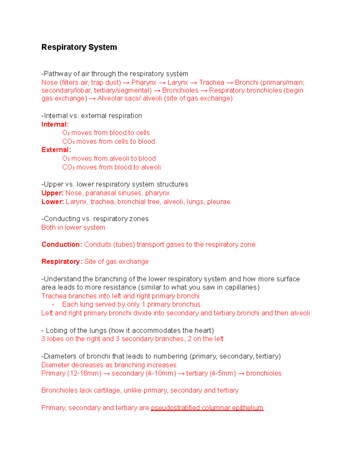 Respiratory System Overview and Functionality - Studocu