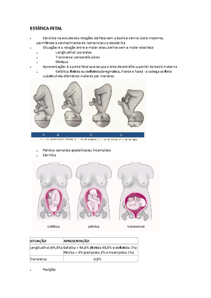 fases do puerpério, dequitação e loquiação. Hemorragia puerperal e ...