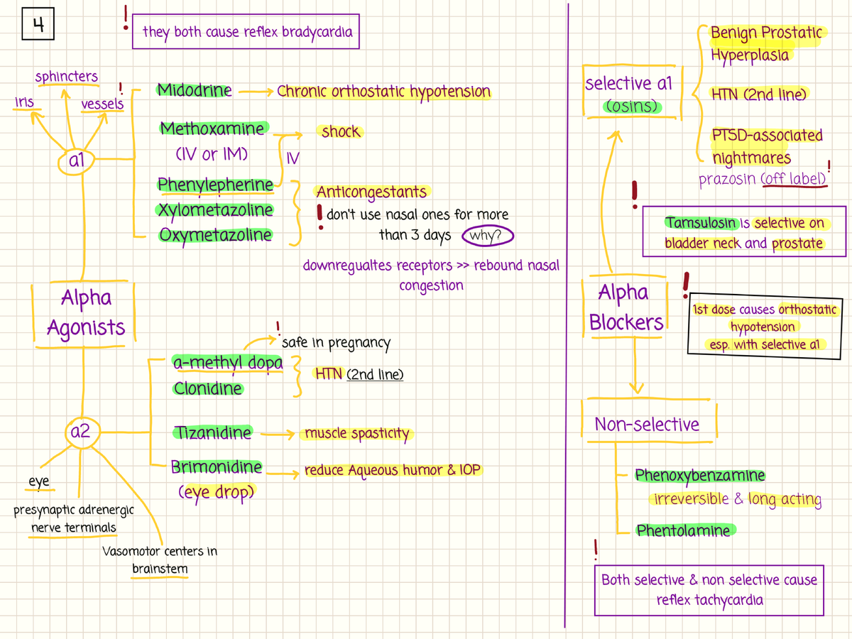 Alpha Agonists & Blockers Summary for Pharmacology Exam (PHRM101) - Studocu